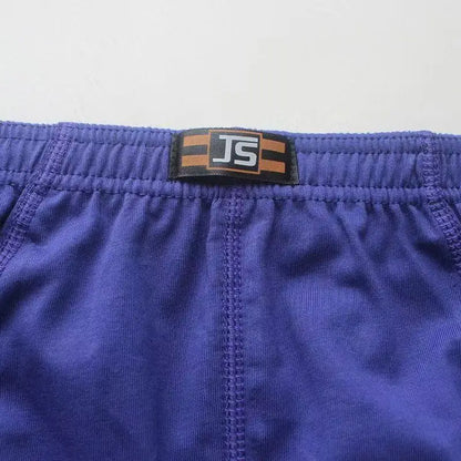 6Pcs/Set Comfortable 100% Cotton Male High Waist Underpants Briefs Underwear Pant Shorts Available in Sizes XL-6XL